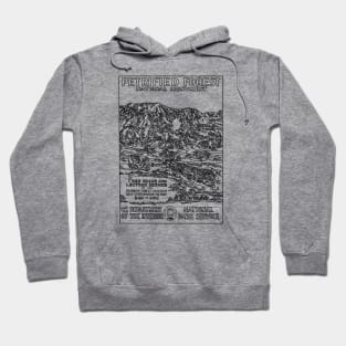 Petrified Forest Hoodie